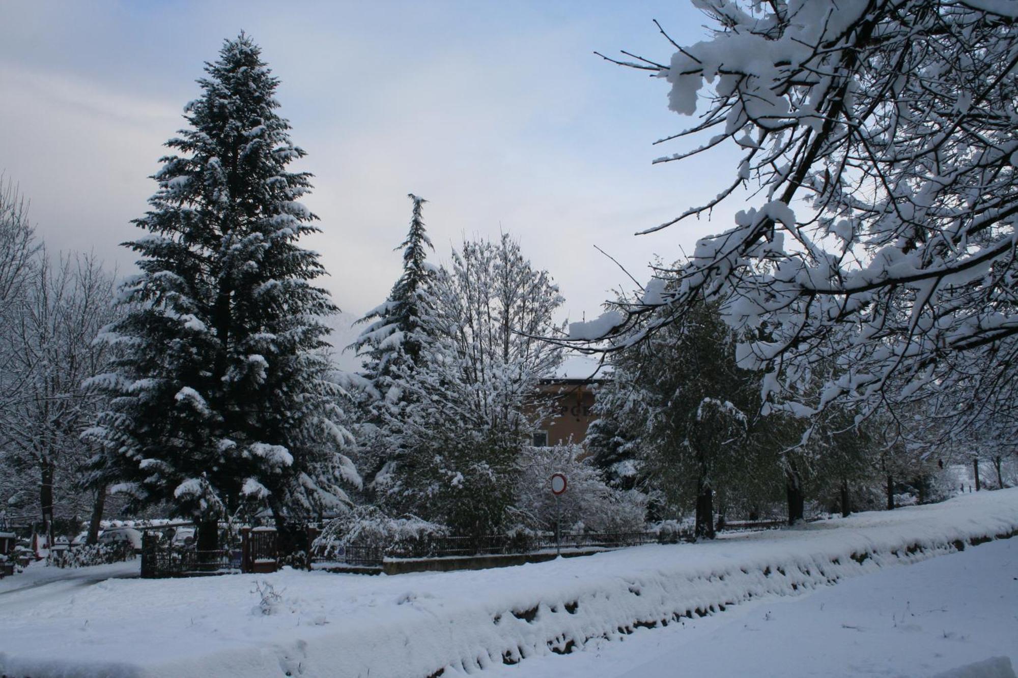 Hotel Sport - Pet friendly hotel&fishing lovers Levico Terme Eksteriør bilde